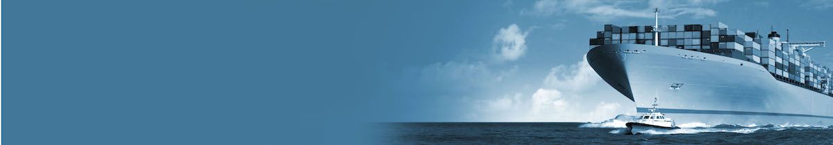 Container ship at sea